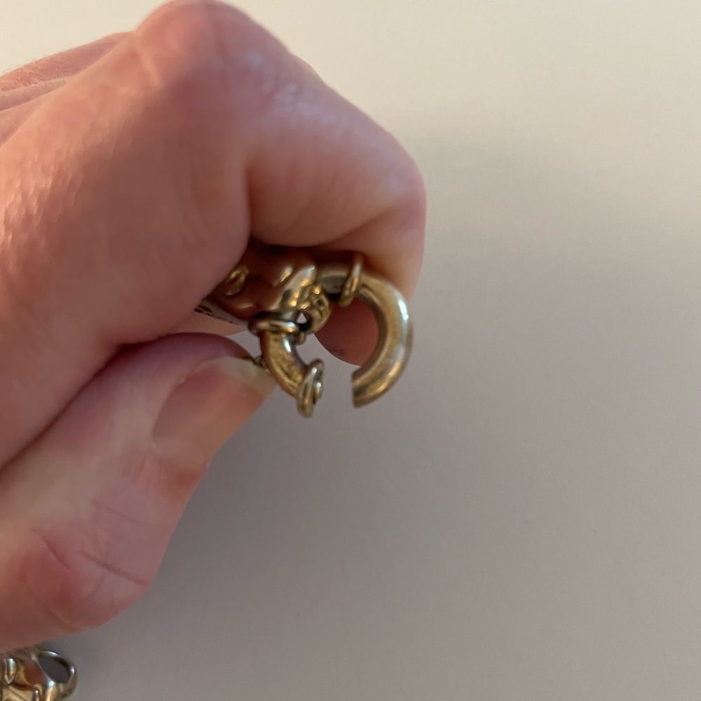 Lion Bracelet - Picture 5 of 10